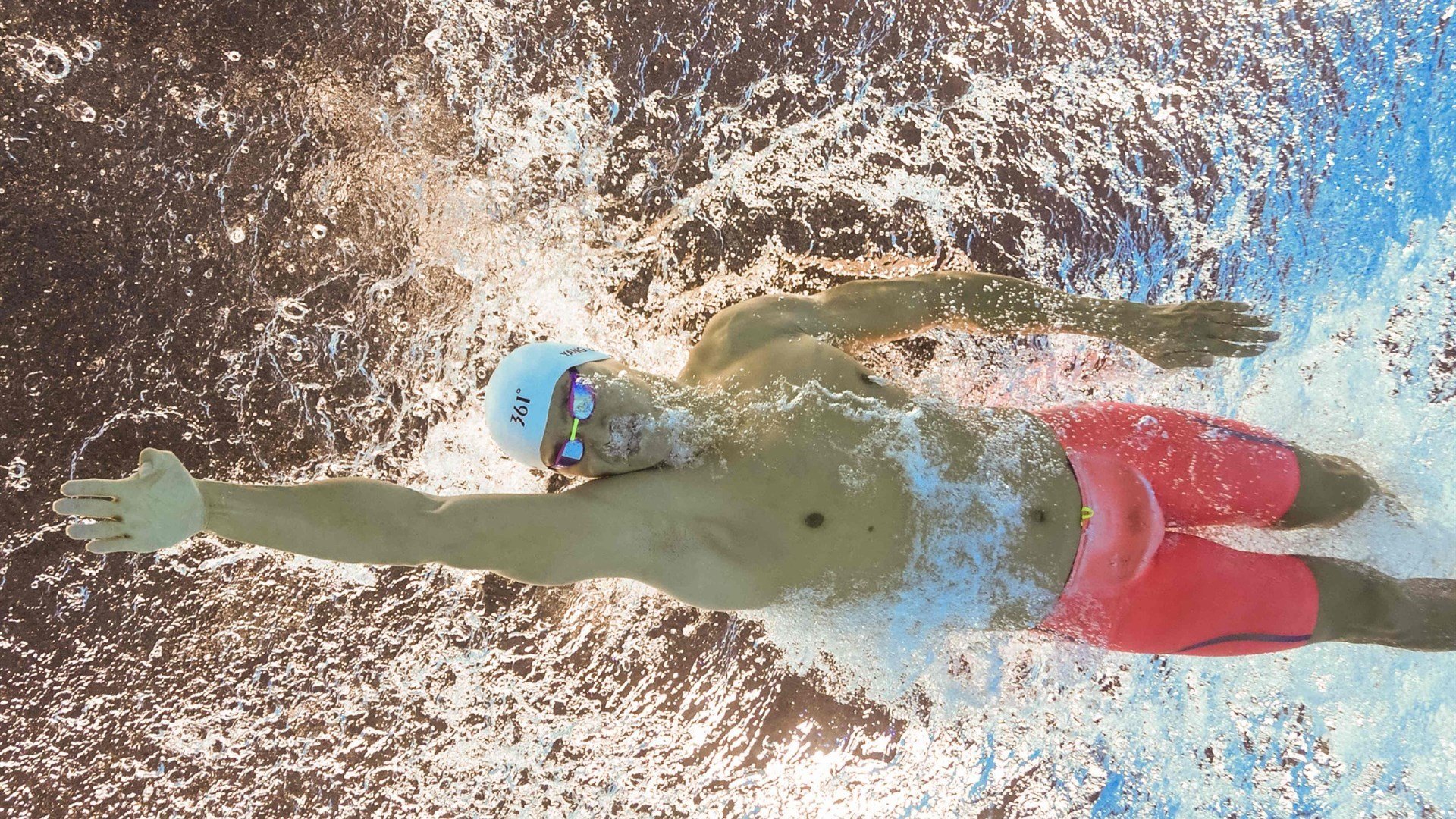 游泳赛事观众人数增长，游泳比赛人数